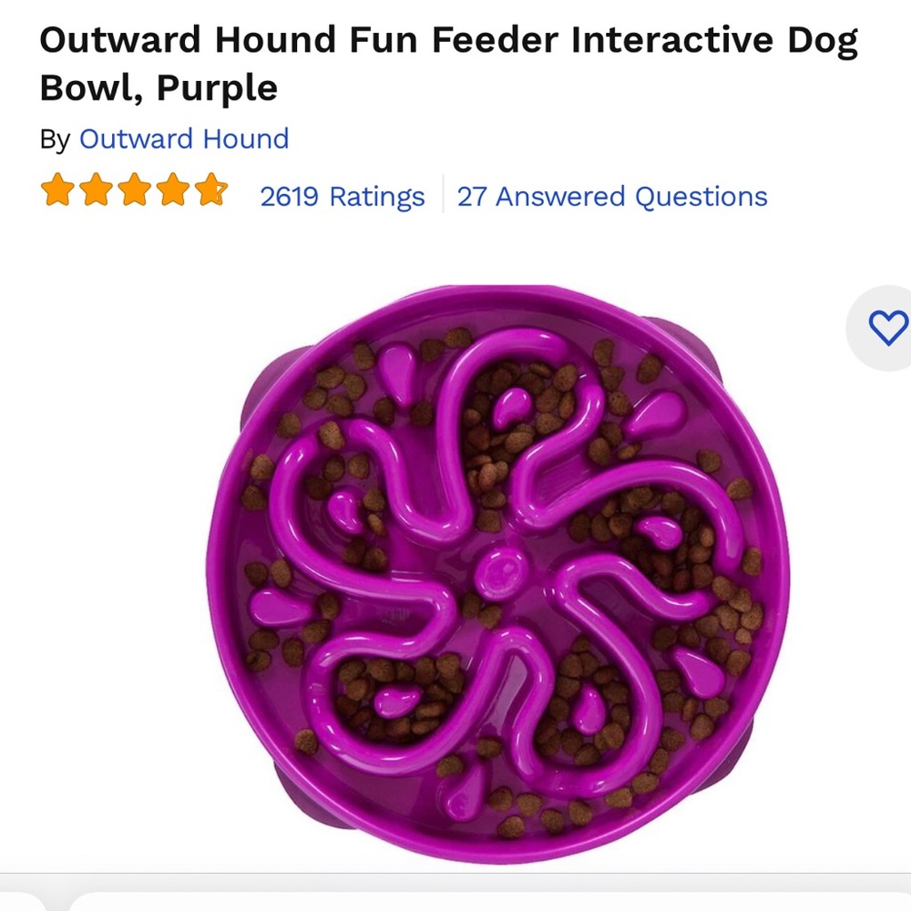 Outward Hound Fun Feeder Slo Bowl - large